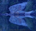 391796_564970810184982_2133357362_n